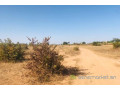 terrain-de-191-hectare-vers-notto-diobass-small-1