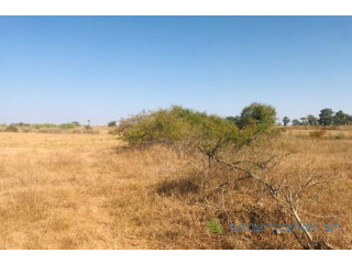 Terrain de 1,91 hectare vers Notto Diobass