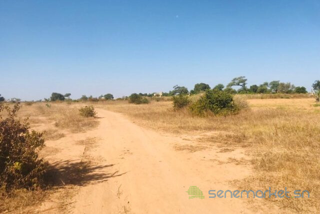 terrain-de-191-hectare-vers-notto-diobass-big-2