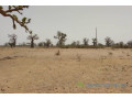 terrain-de-193-hectare-vers-sindia-small-2