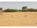 terrain-de-193-hectare-vers-sindia-small-1