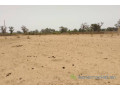 terrain-de-193-hectare-vers-sindia-small-0