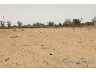 Terrain de 1,93 hectare vers Sindia