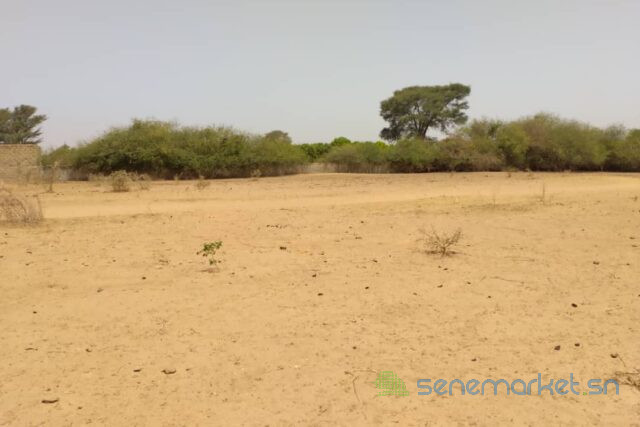 terrain-de-193-hectare-vers-sindia-big-1