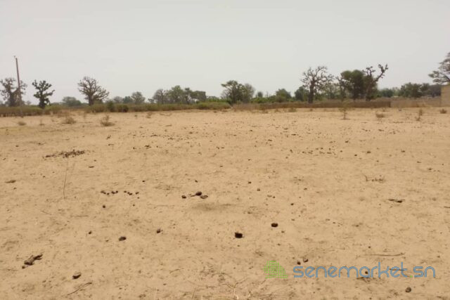terrain-de-193-hectare-vers-sindia-big-0