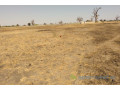 terrain-de-195-hectare-vers-sandiara-small-1