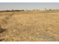 terrain-de-195-hectare-vers-sandiara-small-2