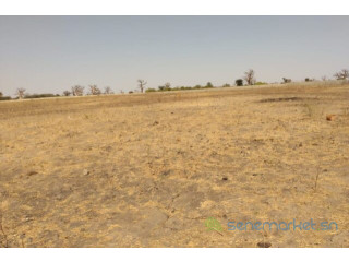 Terrain de 1,95 hectare vers Sandiara