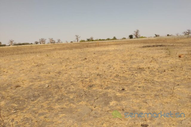 terrain-de-195-hectare-vers-sandiara-big-0