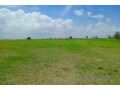 terrain-de-197-hectare-vers-diourbel-small-2