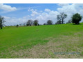 terrain-de-197-hectare-vers-diourbel-small-1