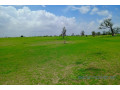 terrain-de-197-hectare-vers-diourbel-small-0