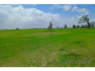 Terrain de 1,97 hectare vers Diourbel