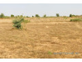 terrain-de-199-hectare-vers-cherif-lo-small-1