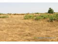 terrain-de-199-hectare-vers-cherif-lo-small-0