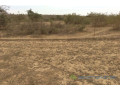 terrain-de-10-hectares-vers-darou-khoudoss-small-2