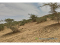 terrain-de-10-hectares-vers-darou-khoudoss-small-1