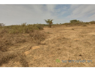 Terrain de 10 hectares vers Darou Khoudoss