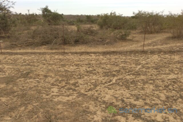terrain-de-10-hectares-vers-darou-khoudoss-big-2