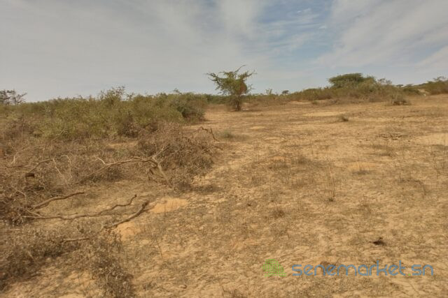 terrain-de-10-hectares-vers-darou-khoudoss-big-0