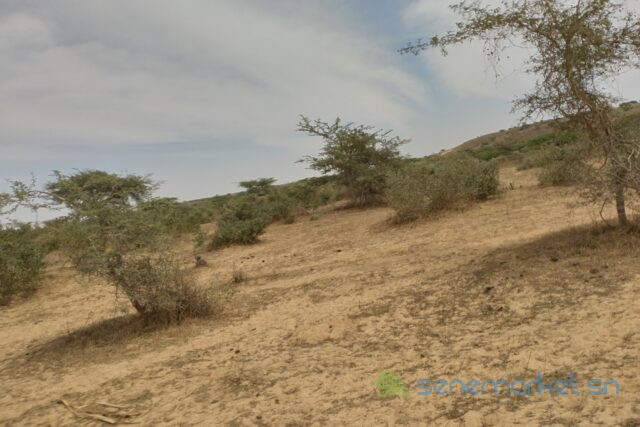 terrain-de-10-hectares-vers-darou-khoudoss-big-1