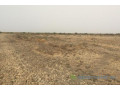 terrain-agricole-de-10-hectares-vers-diama-small-2