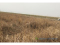 terrain-agricole-de-10-hectares-vers-diama-small-0