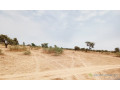 terrain-agricole-de-10-hectares-vers-keur-samba-kane-small-0