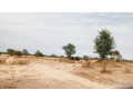 terrain-agricole-de-10-hectares-vers-keur-samba-kane-small-1