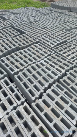 brique-pave-bordure-big-0