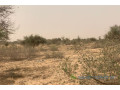 terrain-de-1018-hectares-vers-kebemer-small-2