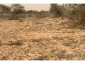 terrain-de-1018-hectares-vers-kebemer-small-0