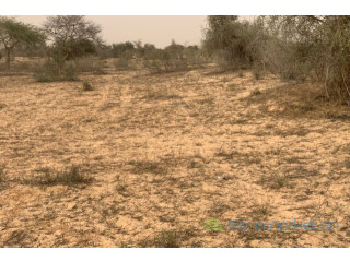 Terrain de 10,18 hectares vers Kébémer