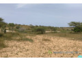terrain-de-1037-hectares-vers-thieppe-small-2
