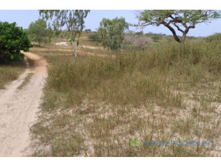 Terrain de 10,37 hectares vers Thieppe