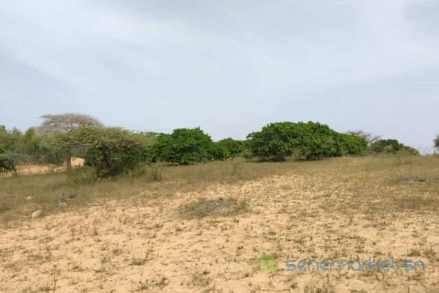 terrain-de-1037-hectares-vers-thieppe-big-1
