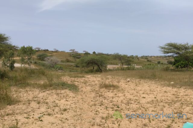 terrain-de-1037-hectares-vers-thieppe-big-2