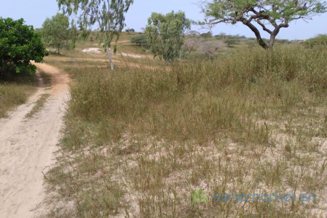 terrain-de-1037-hectares-vers-thieppe-big-0