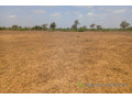 terrain-de-1208-hectares-vers-touba-toul-small-1