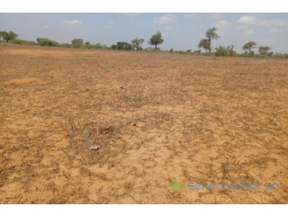 Terrain de 12,08 hectares vers Touba Toul