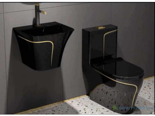 Ensemble sanitaire de luxe
