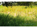 terrain-de-142-hectares-vers-keur-samba-kane-small-0