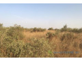 terrain-de-15-hectares-vers-thienaba-small-2