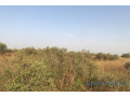 terrain-de-15-hectares-vers-thienaba-small-1
