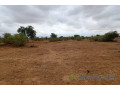 terrain-de-16-hectares-vers-keur-samba-kane-small-2