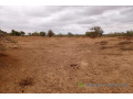 terrain-de-16-hectares-vers-keur-samba-kane-small-1