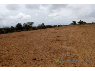 Terrain de 16 hectares vers Keur Samba Kane