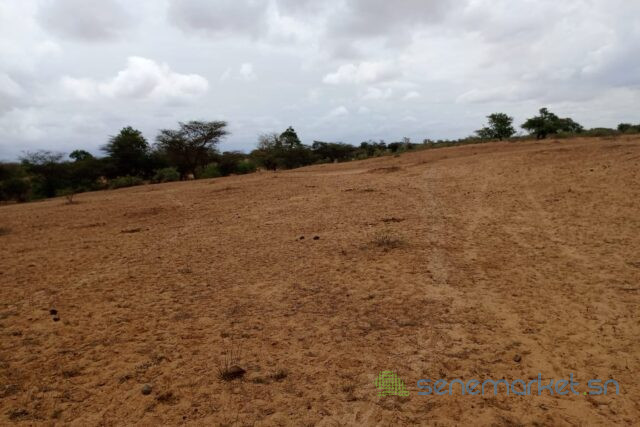 terrain-de-16-hectares-vers-keur-samba-kane-big-0