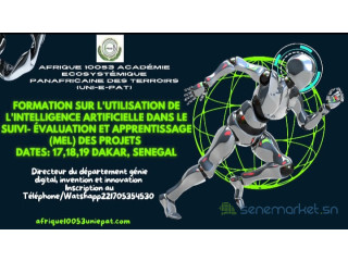 Formation Utilisation de l'Intelligence Artificielle dans le SEA Projets
