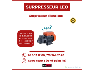 VENTE DE SURPRESSEUR SILENCIEUX LEO A TRES BON PRIX